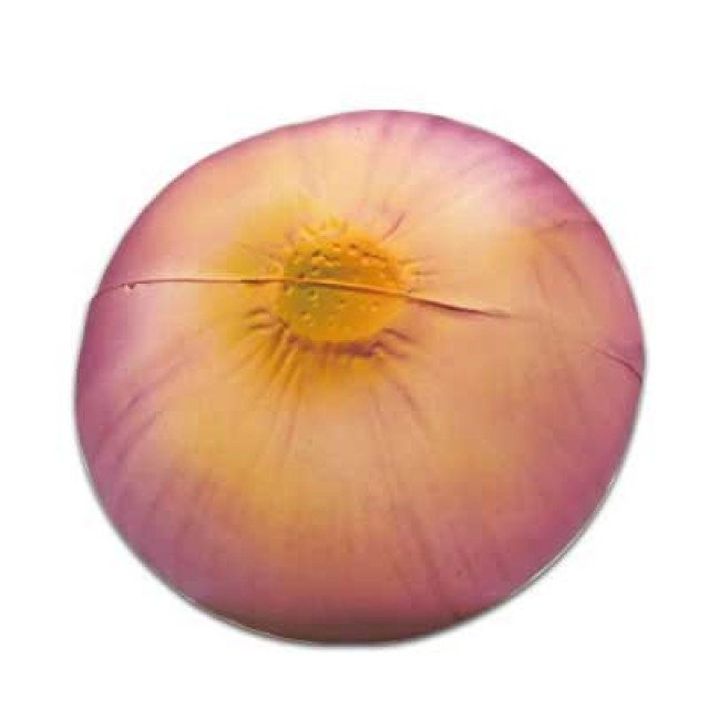 VE039 - Onion Stress Reliever ©