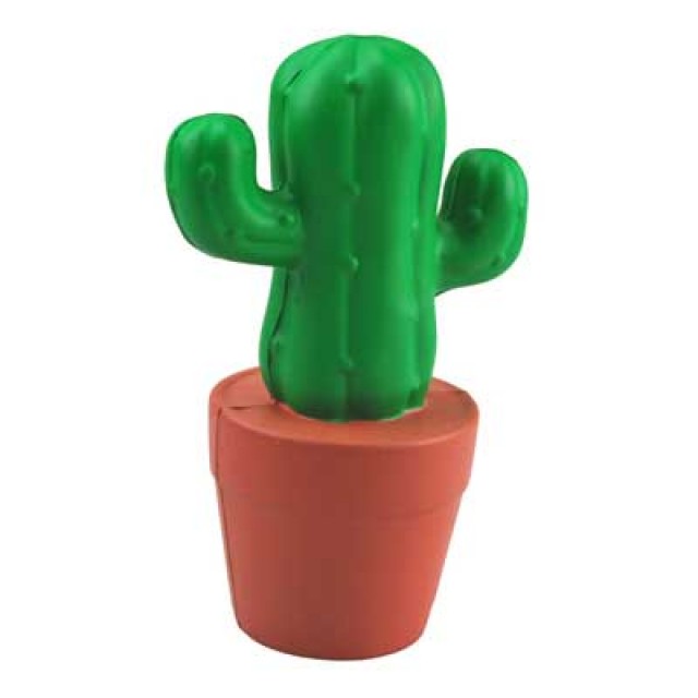 VE079 - Cactus in a Pot